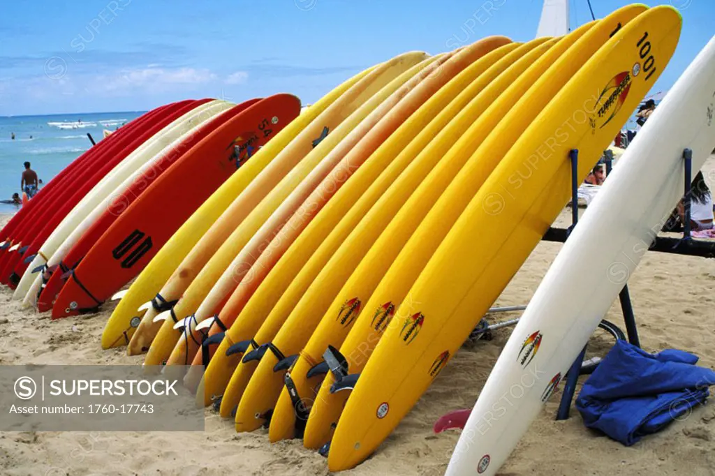 Surfboards of different lengths and colors lined up on a rack