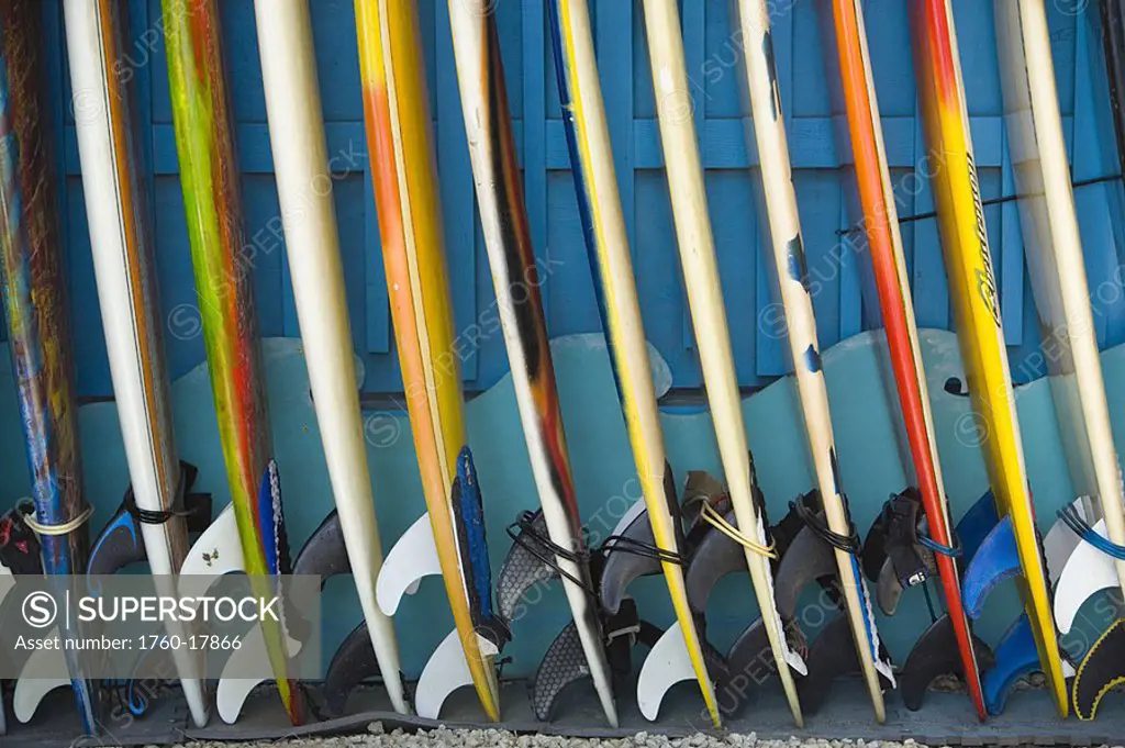 Row of surfboards lined up against a wall