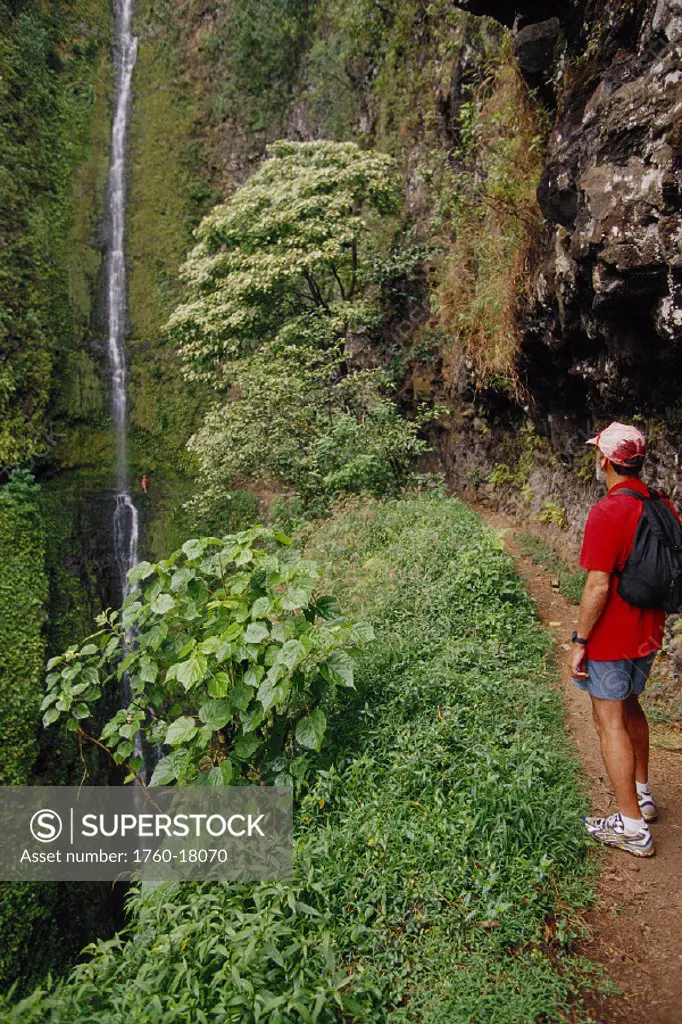 HI BigIsle, Kohala, Kapoloa Falls w/ woman nr waterfall, man standing foreground greenery full length view