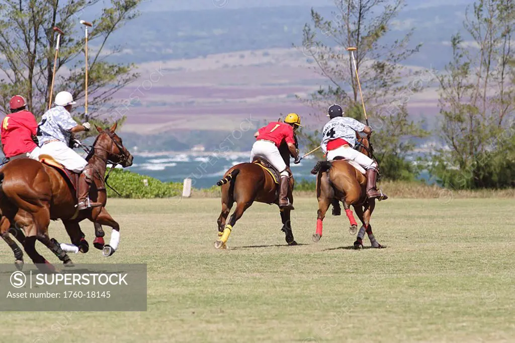 Hawaii, Oahu, North Shore, men on horseback playing polo on oceanside fields  NO MODEL RELEASE