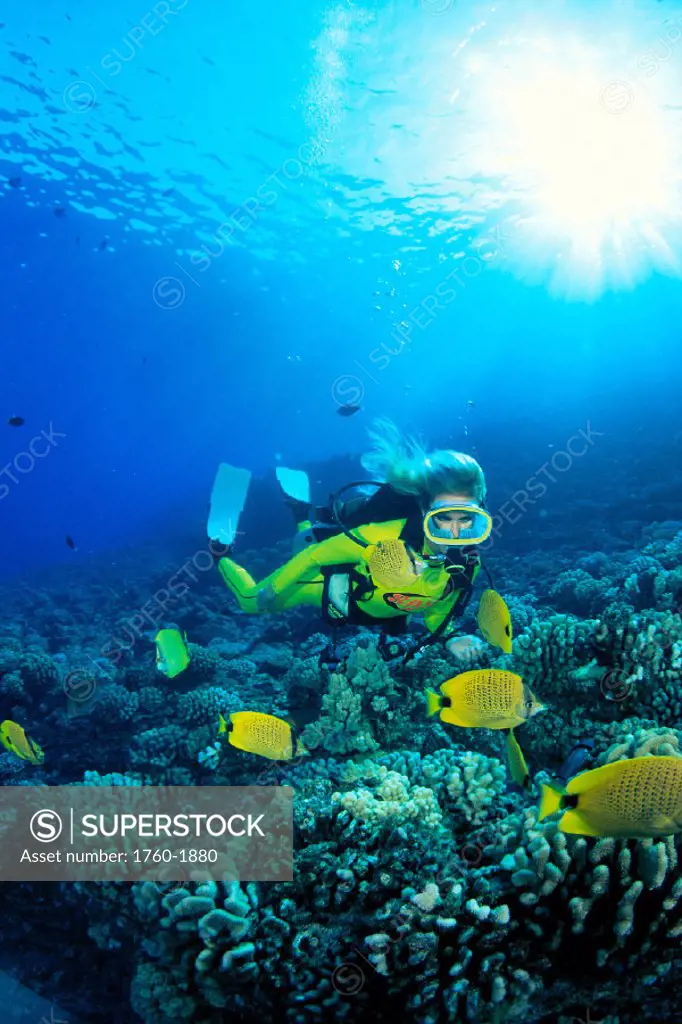 Hawaii, Woman diver swims over coral reef, milletseed butterflyfish in C1331 foreground