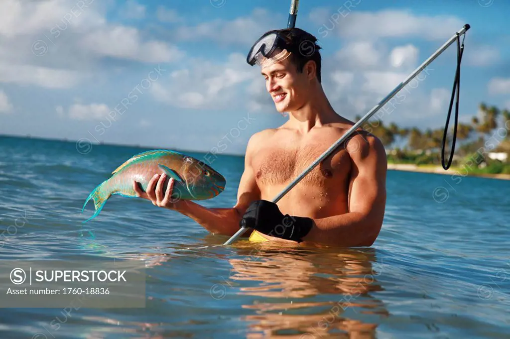 Hawaii, Oahu, Spear Diver rising out of the ocean with a Parrot fish uhu caught with a 3_prong spear