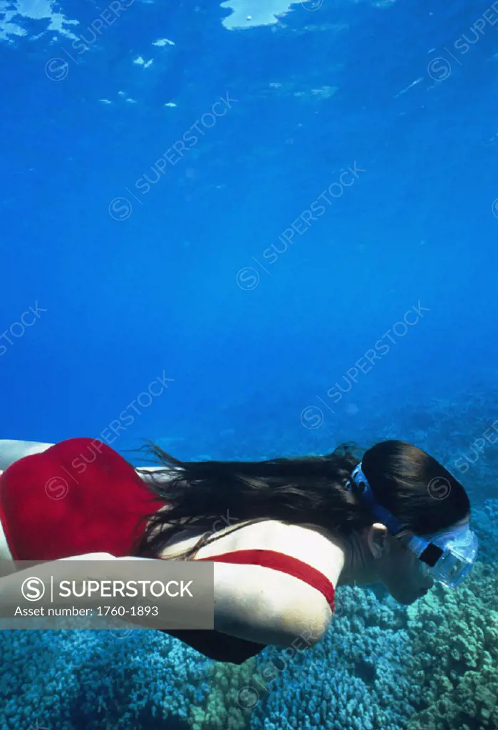 Hawaii, Big Island, Honaunau Bay, underwater view of female free diver