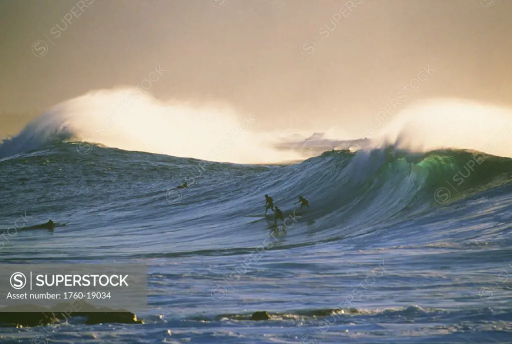 Hawaii, Oahu, North Shore, Three surfers on one large wave.