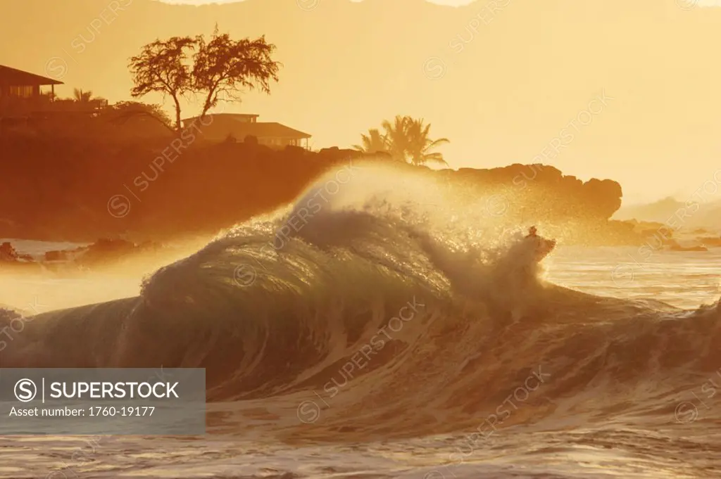 Hawaii, Oahu, Waimea Bay, Large crashing curling wave with golden, misty sunset sky.