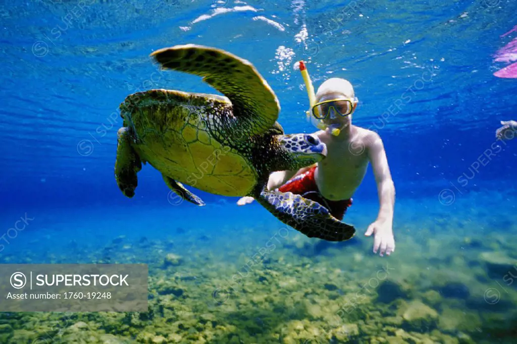 Hawaii, young boy snorkeling underwater with green sea turtle