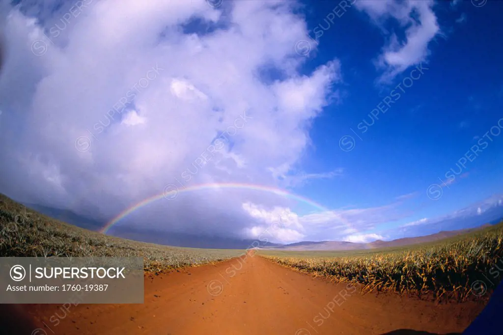 Hawaii, Lanai, Rainbow over pineapple fields and red dirt road