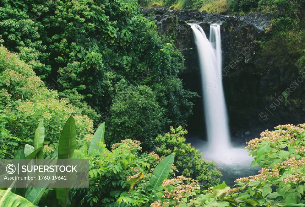 Hawaii, Big Island, Hilo, Wailuku River State Park, Rainbow Falls, flowers and greenery in foreground.