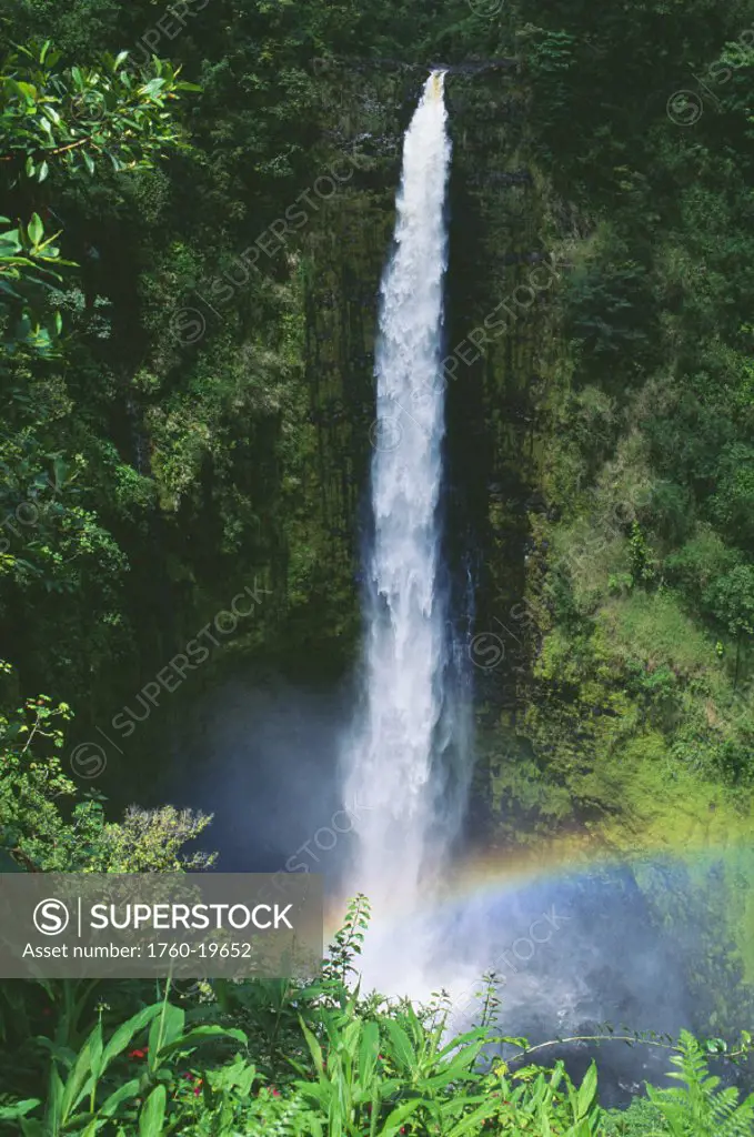 Hawaii, Big Island, Akaka Falls, lush greenery in foreground, small rainbow at bottom.
