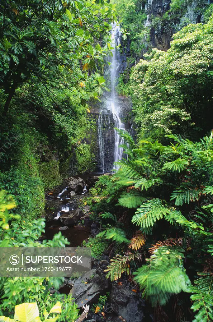 Hawaii, Maui, Hana, Wailua Falls surrounded by lush greenery