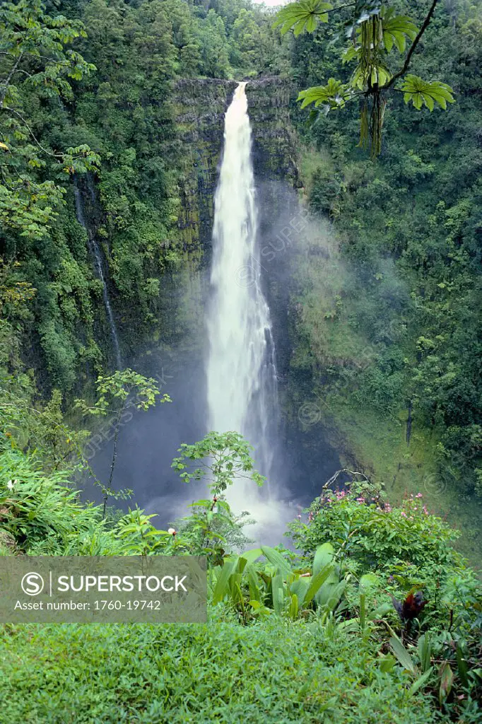BigIsle, Akaka Falls, top of waterfall looking down to pool, lush greenery