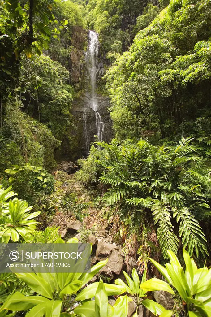 Hawaii, Maui, Kipahulu, Hana Coast, Wailua Falls surrounded by foliage.