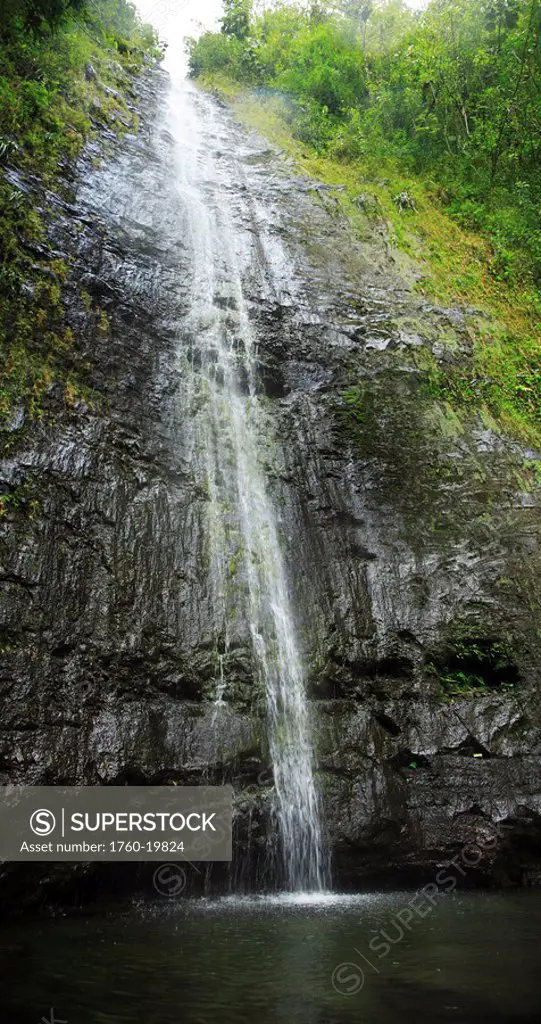 Hawaii, Oahu, Honolulu, Manoa Falls, Waterfall cascading down into a waterfall pool.