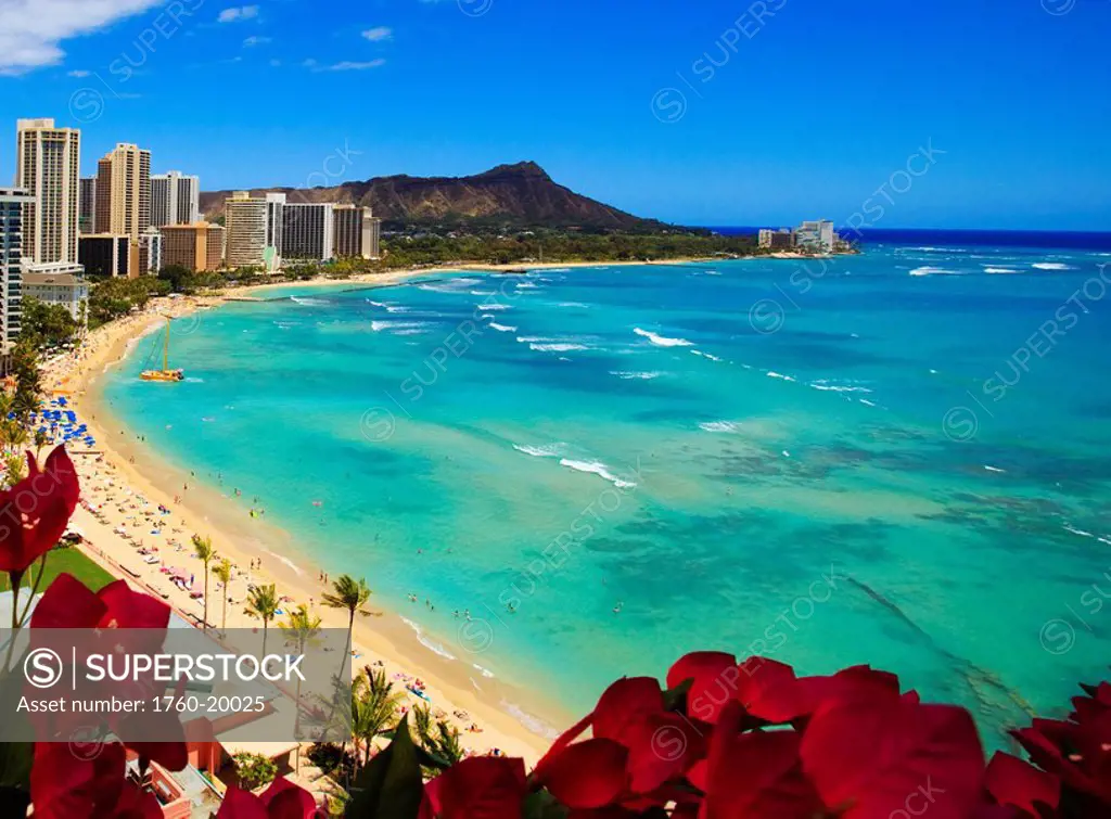 Hawaii, Oahu, View of Waikiki beach, hotels, and diamond head with flowers in the foreground.