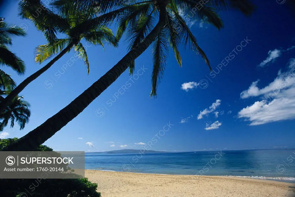 Hawaii Maui Wailea Keawakapu Beach palm trees block sun foreground, Kahoolawe bkgd calm ocean