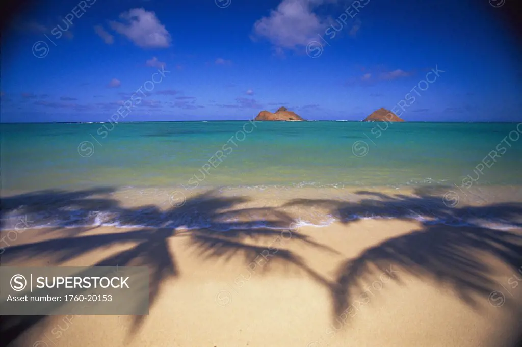 Hawaii EastOahu Lanikai Beach palm shadows on sand, Mokulua Islands bkgd