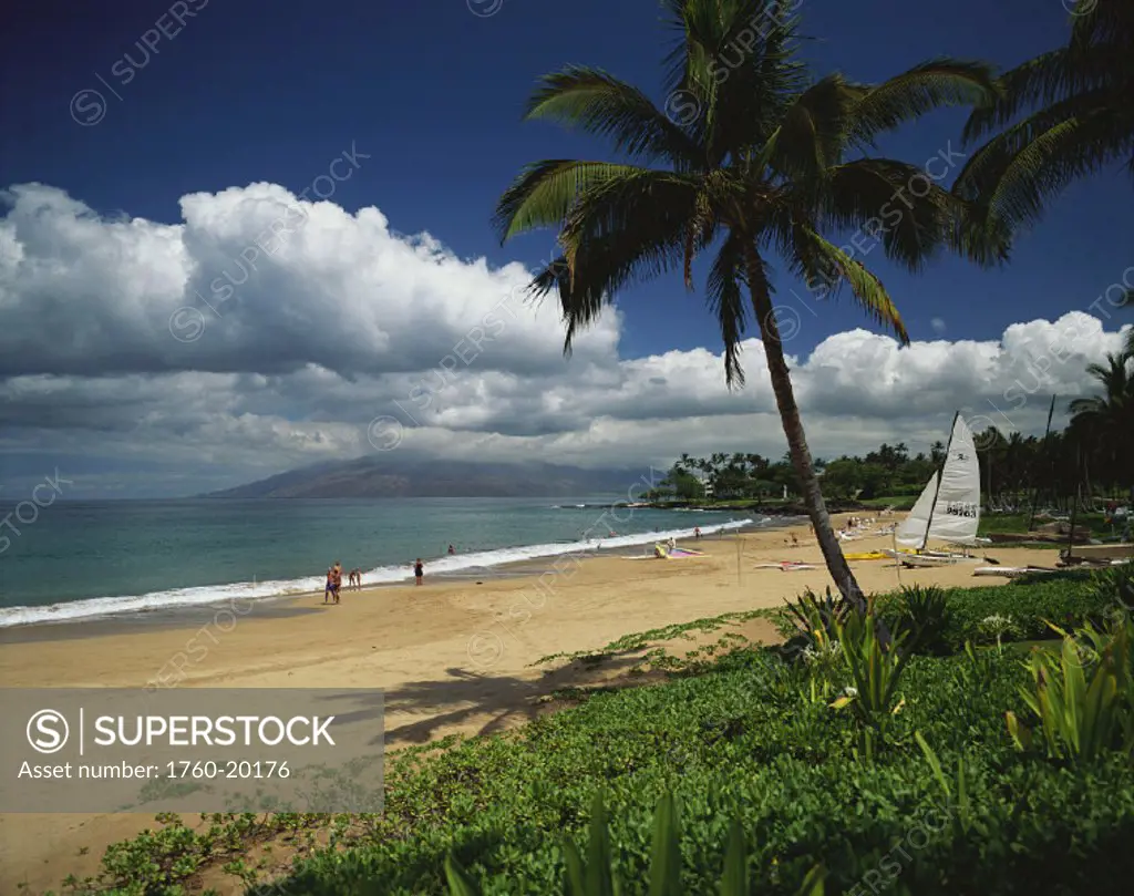 Hawaii, Maui, Wailea Beach, people, sailboat, kayaks on beach, beach shrubs palms