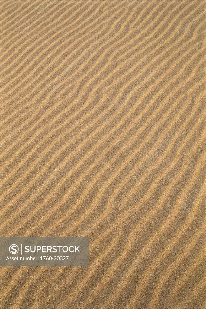 Oregon Dunes National Recreation Area, sand patterns, wave like