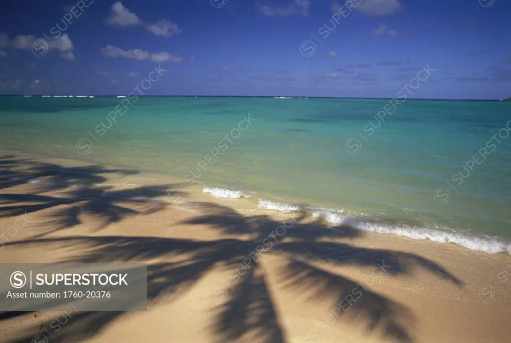 Beach shoreline w/ palm tree shadows, calm turquoise ocean horizon D1659