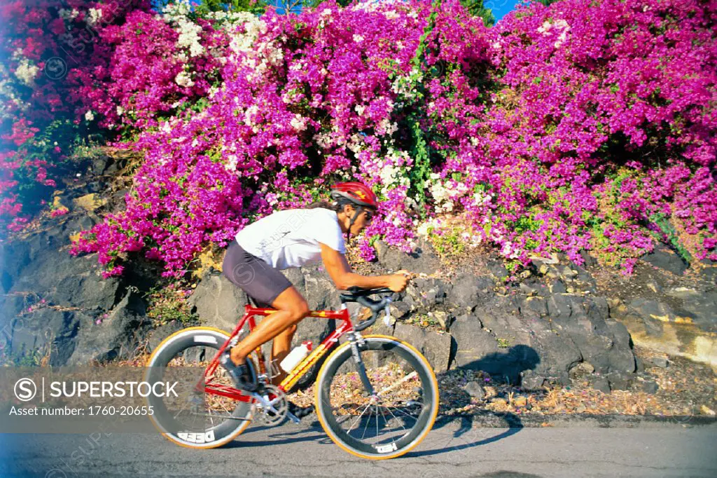 Closeup side view of Luis De La Torre on bicycle along side bougainvillea C1245 bushes, Ironman Triathlon