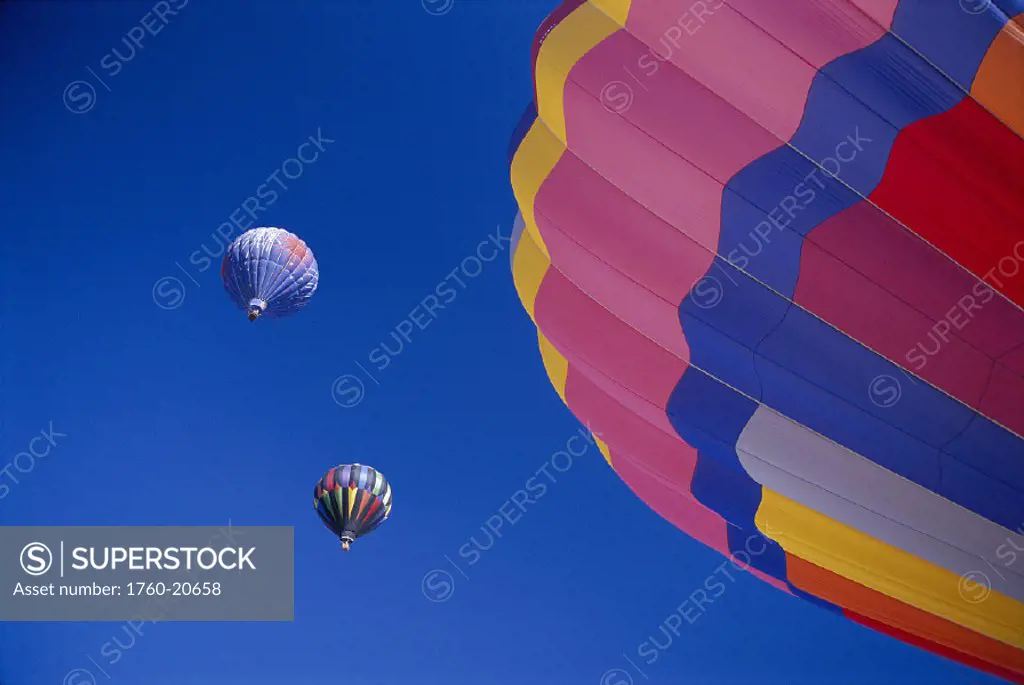 Colorful hot air balloons against cloudless blue sky D1282