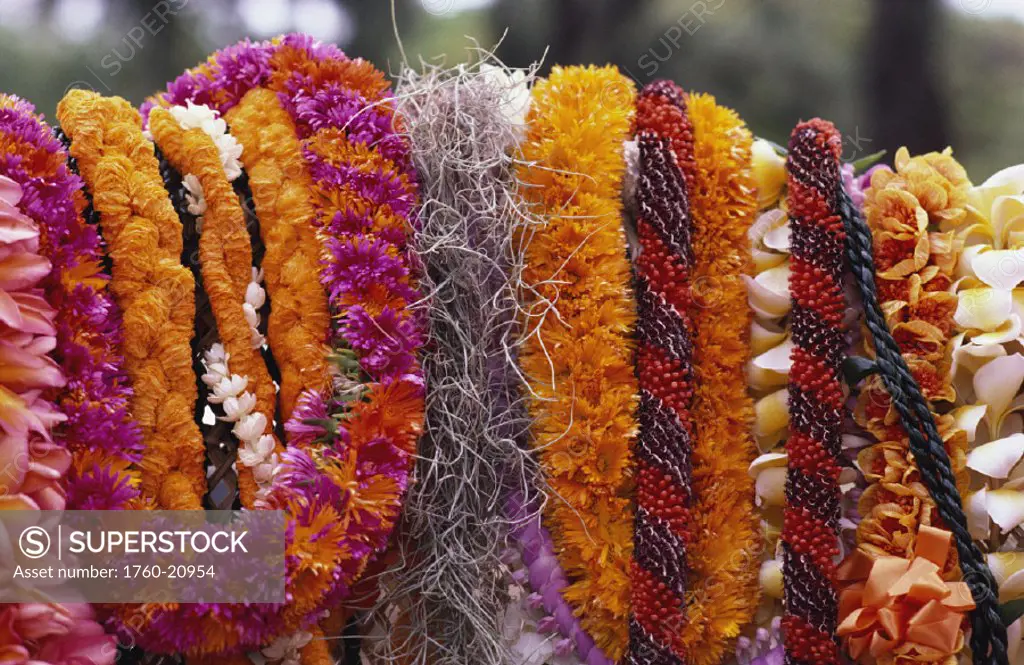 Assorted Hawaiian Leis, Hanging in bright, colorful strands.