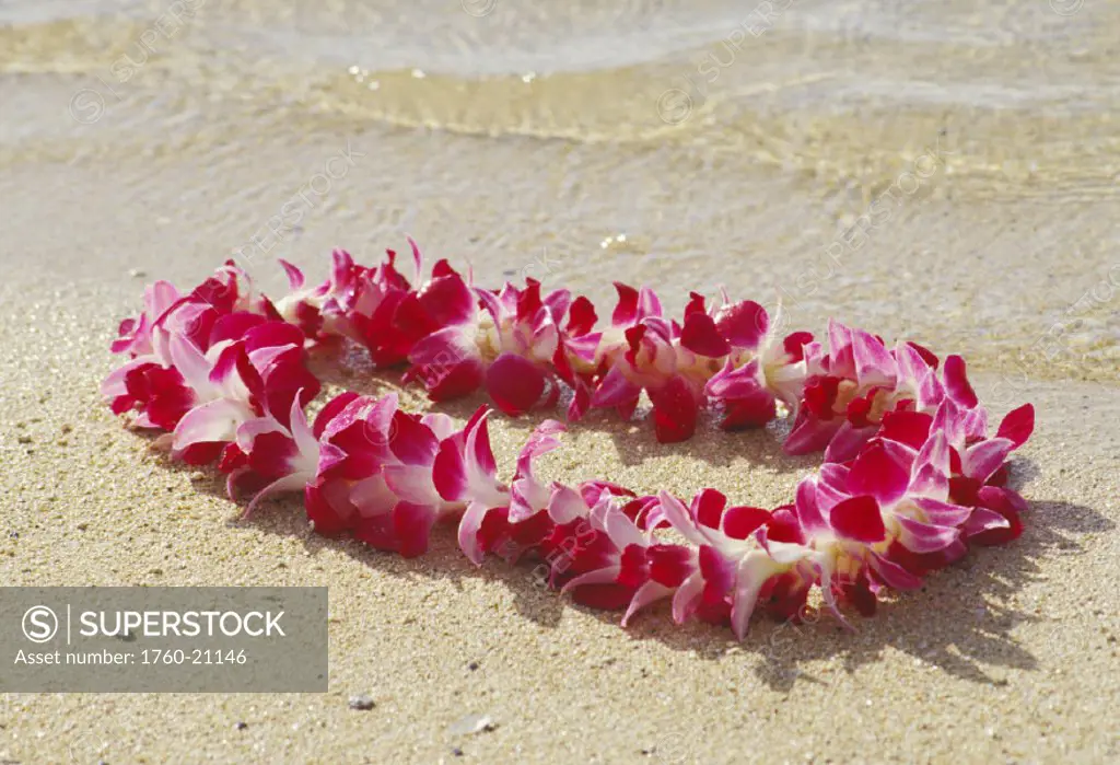Close-up of an orchid lei on the beach, clear water