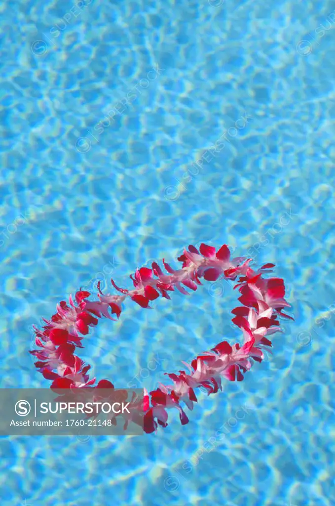 Close-up of an orchid lei in pool with reflections