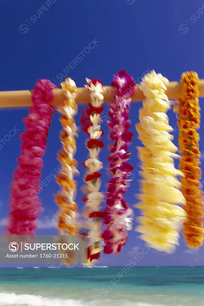 Variety of tropical leis hang from stick, turquoise ocean & blue sky D1747 selective focus clear