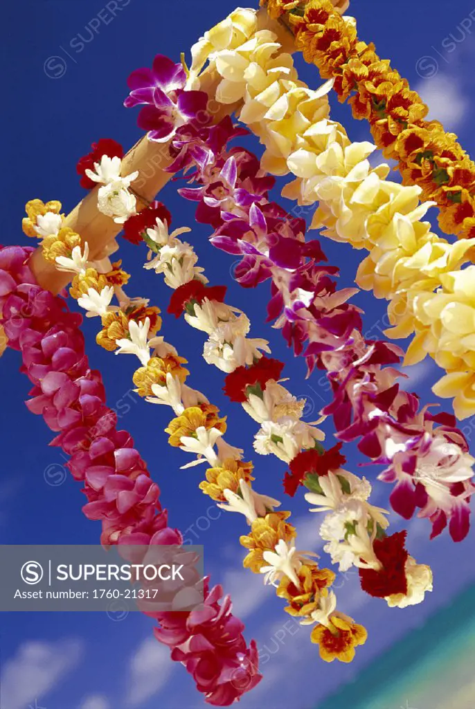 Variety of tropical leis hang fr stick ocean & blue sky bkgd, slanted view D1755