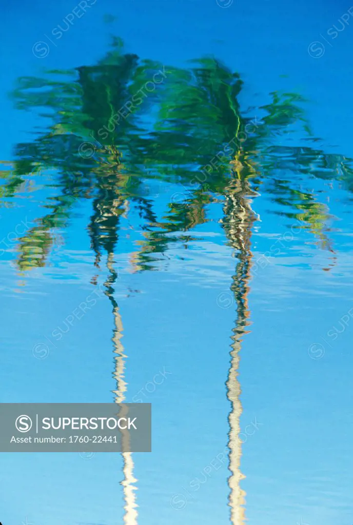 Hawaii, Big Island, Reflection of palm trees on Anaeho´omalu Bay