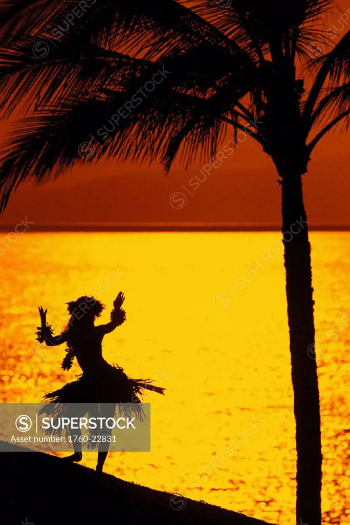 Woman dances hula along ocean @ sunset orange reflections palm D1410 silhouetted Hawaii Maui Wailea Beach
