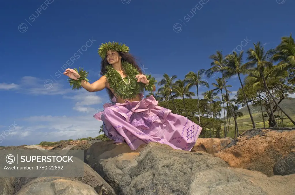 Hula dancer with haku lei in traditional outfit on rocky coast, palm tree background