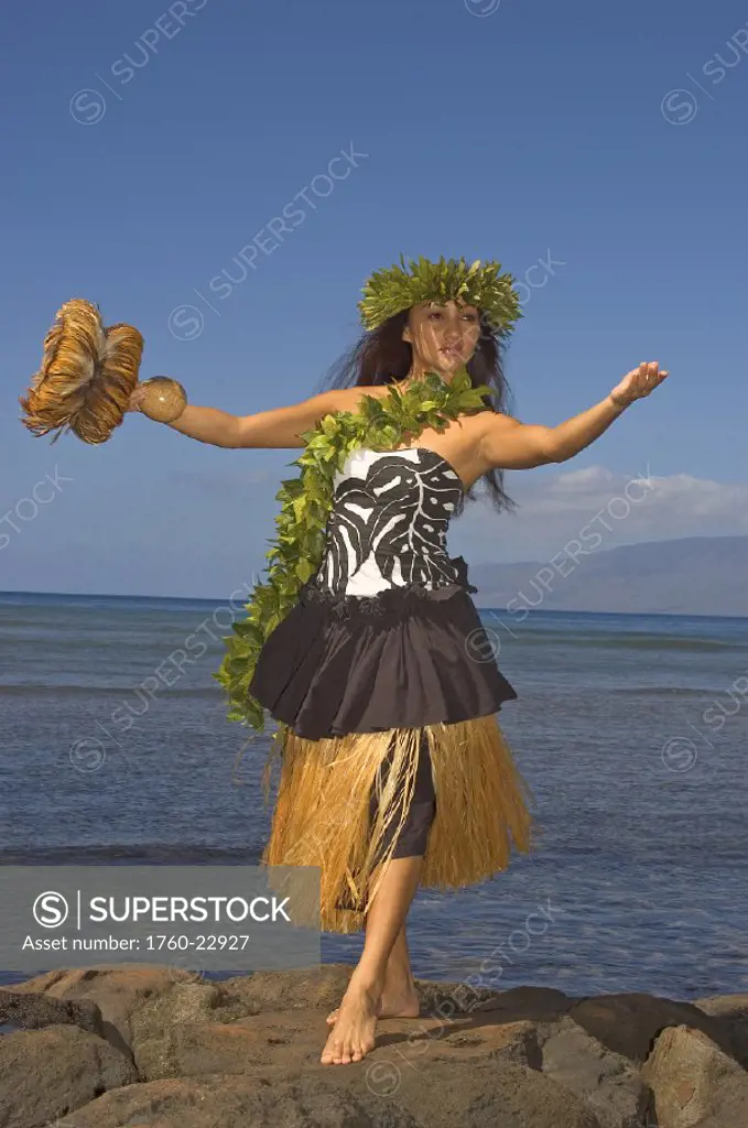 Hula dancer with haku lei in traditional outfit on rocky coast holding uli uli, ocean background