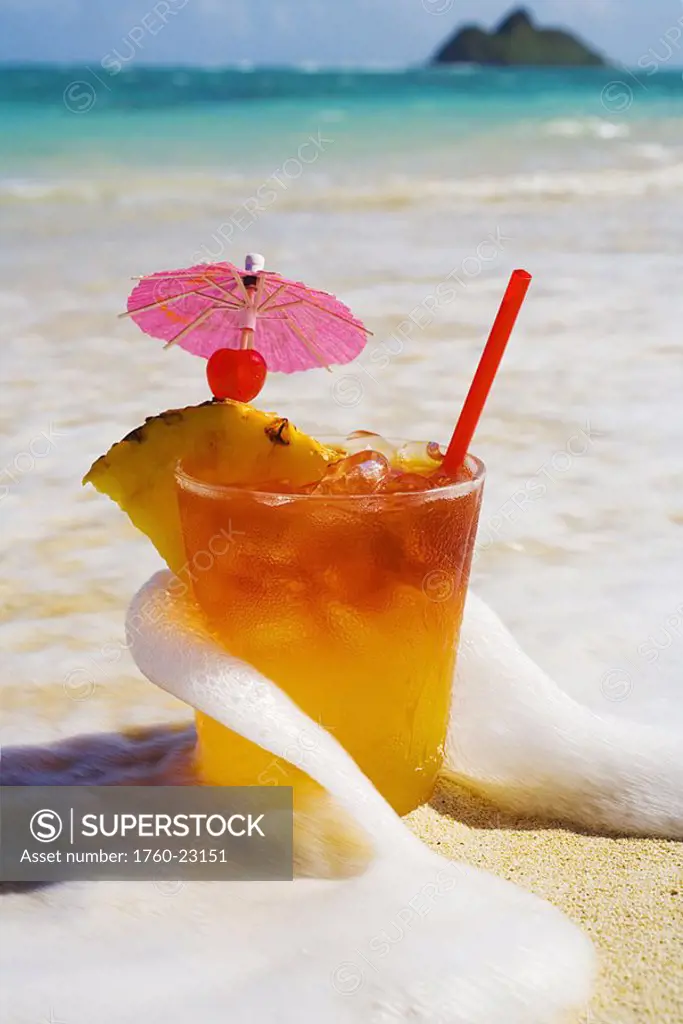 Mai Tai getting splashed by a wave as it rest on the beach