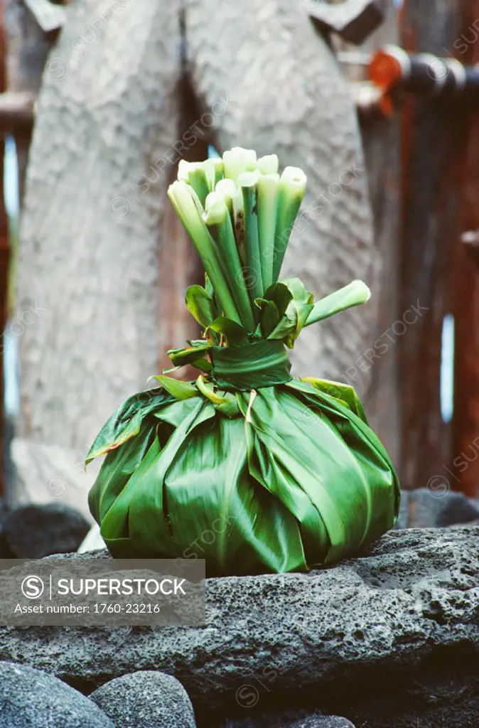 Hawaii, Traditional Ho´okupu, gift, offering, wrapped in Ti leaves