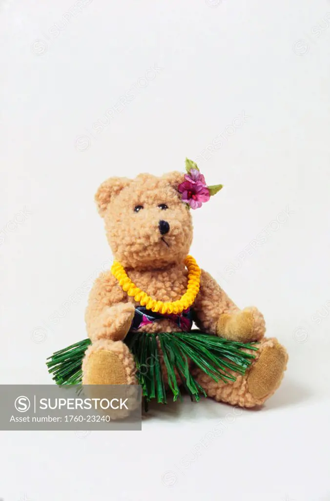 Hawaii, Studio shot of a Hula bear wearing a lei.