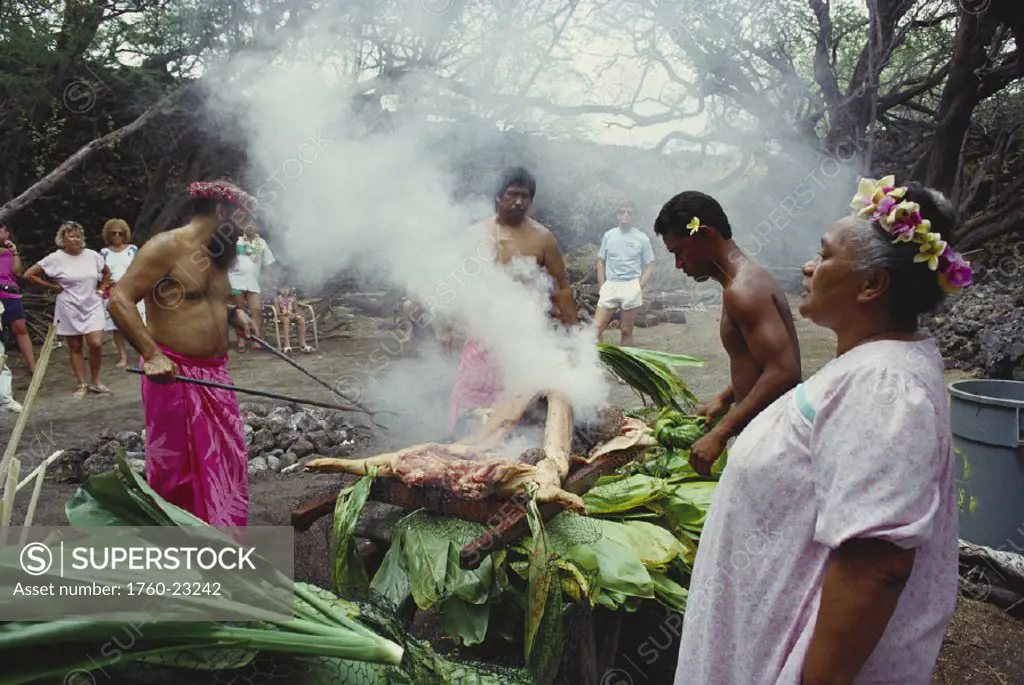 Hawaiian culture, Luau demonstration of kalua pig (underground roast pig) imu