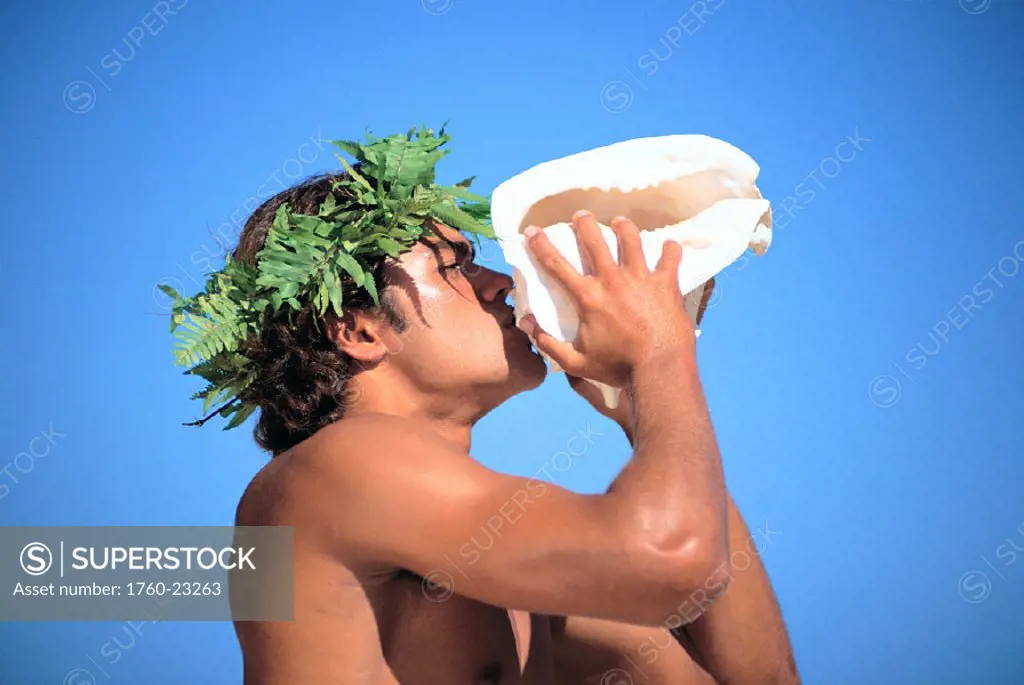 Closeup of Polynesian man w/ haku blowing conch shell, blue skies bkgd