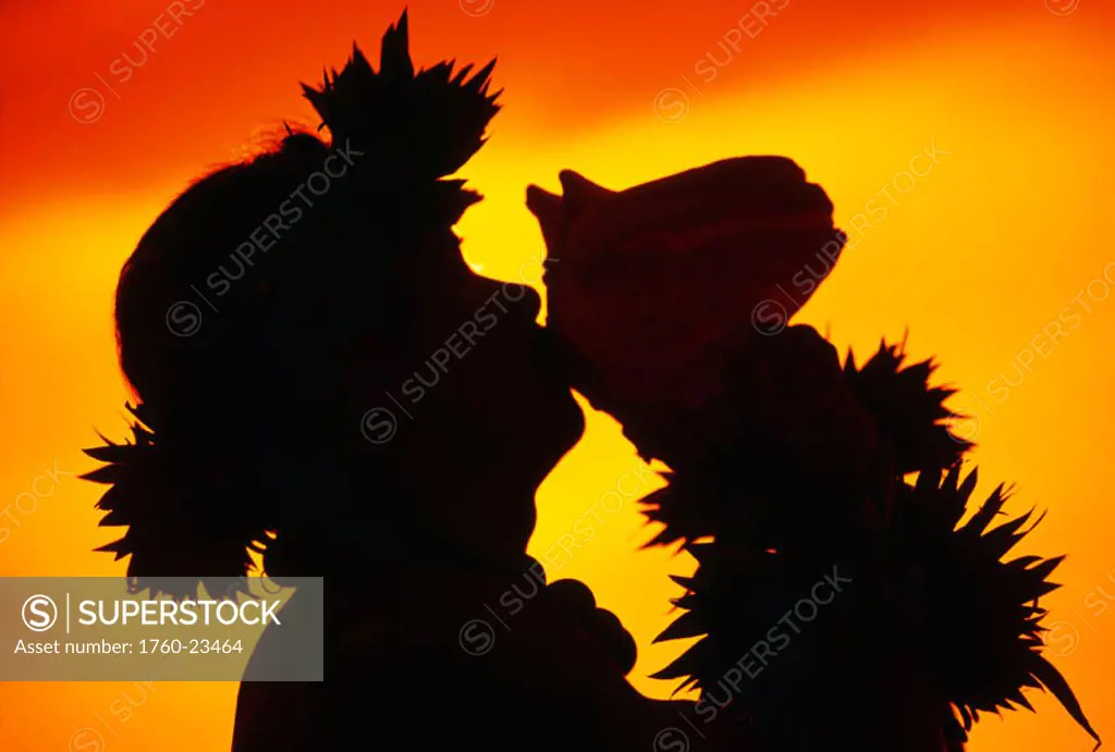 Hawaii, Maui, Napili, Silhouette of man blowing conch shell at sunset, fiery orange sky.