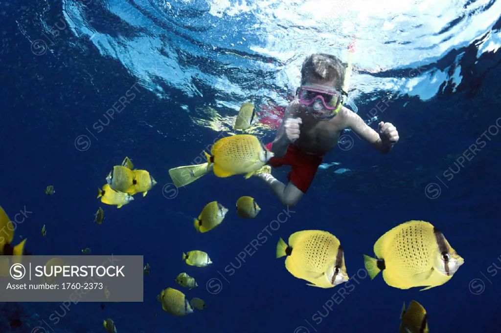 DC young boy snorkel with milletseed butterflyfish (endemic) D1371 Chaetodon miliaris V10080