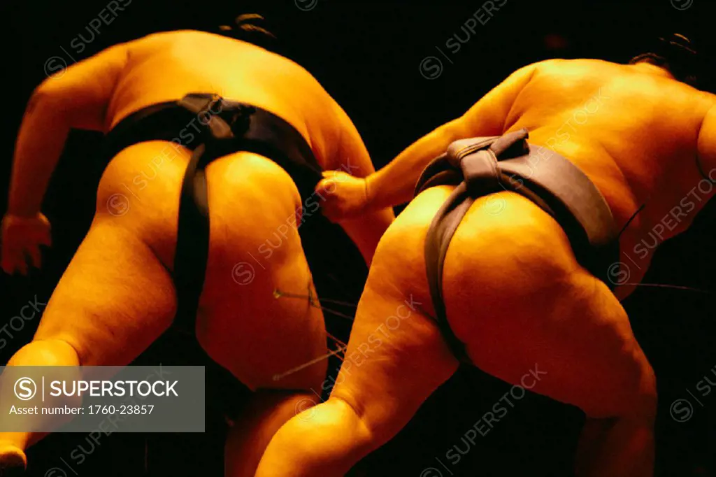 Back view of two Sumo wrestlers, Japanese tradition