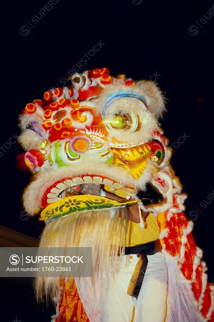 Portrait shot of costumed dancer duuring Chinese Lion Dance