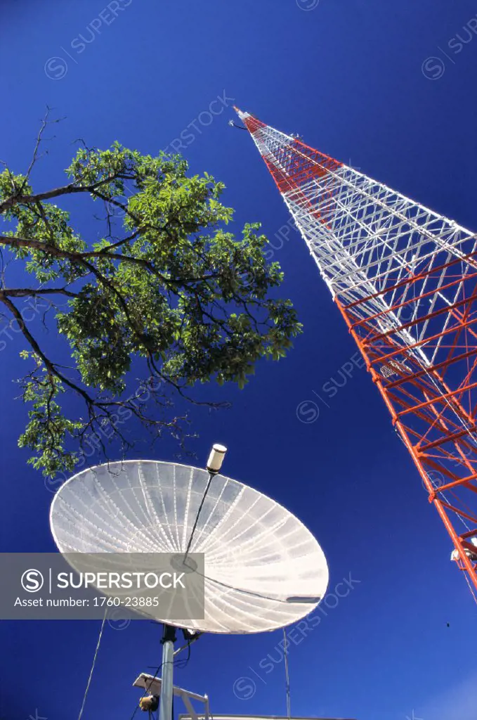 Broadcast tower and Satellite dish, tree and blue skies