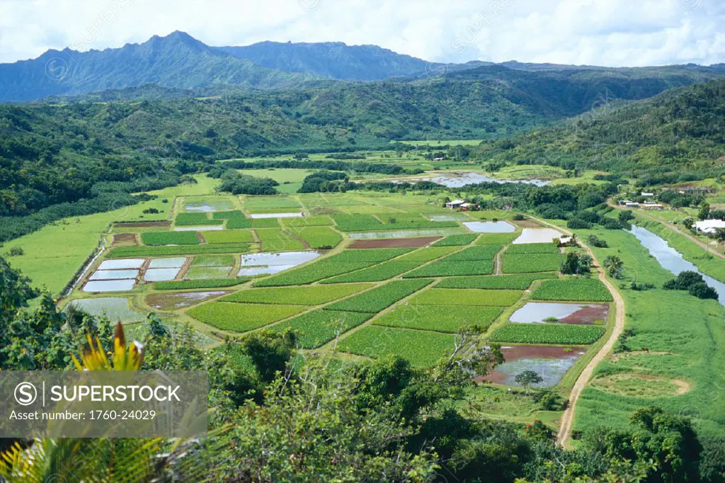 Hawaii, Kauai, overview of fields in valley, Hanalei with mountains background