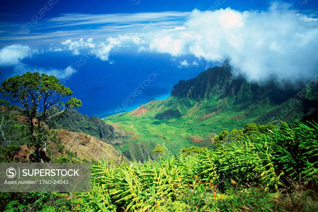 Hawaii, Kauai, Napali Coast, Kokee State Park, Kalalau Valley viewpoint