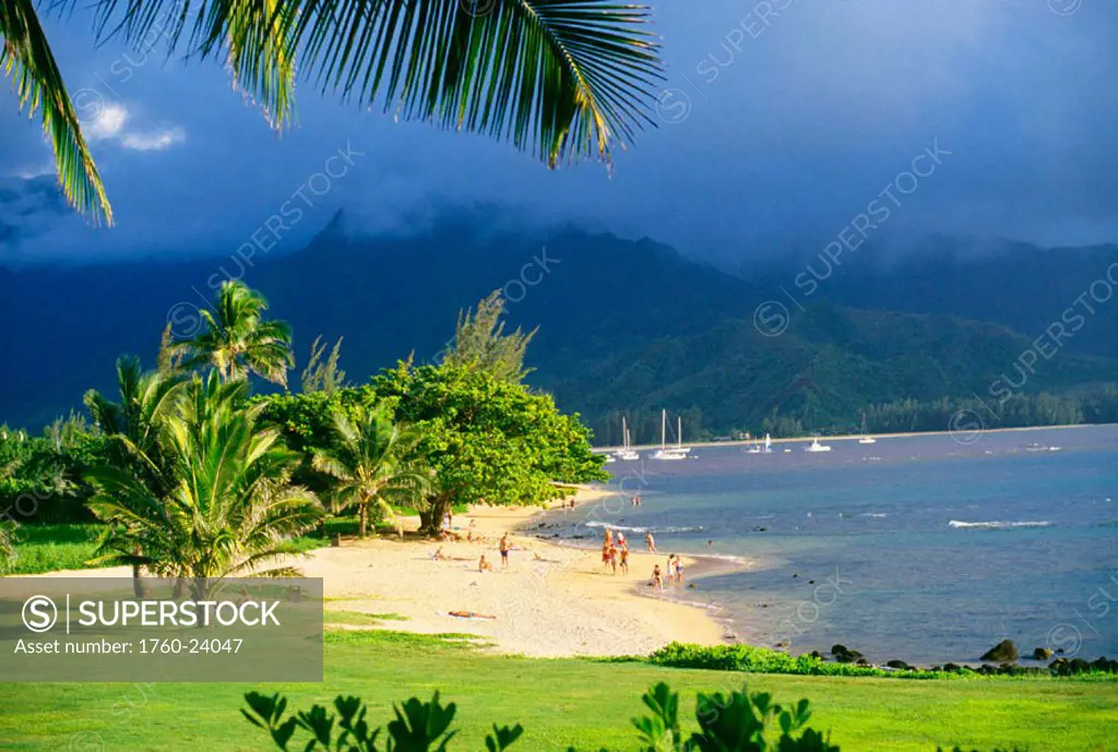Hawaii, Kauai, Hanalei Bay, people on tropical beach with palm trees and green grass