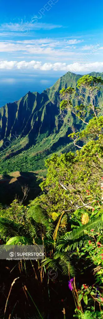 Hawaii, Kauai, Kalalau Valley beautiful green cliffs, lush tropical greenery