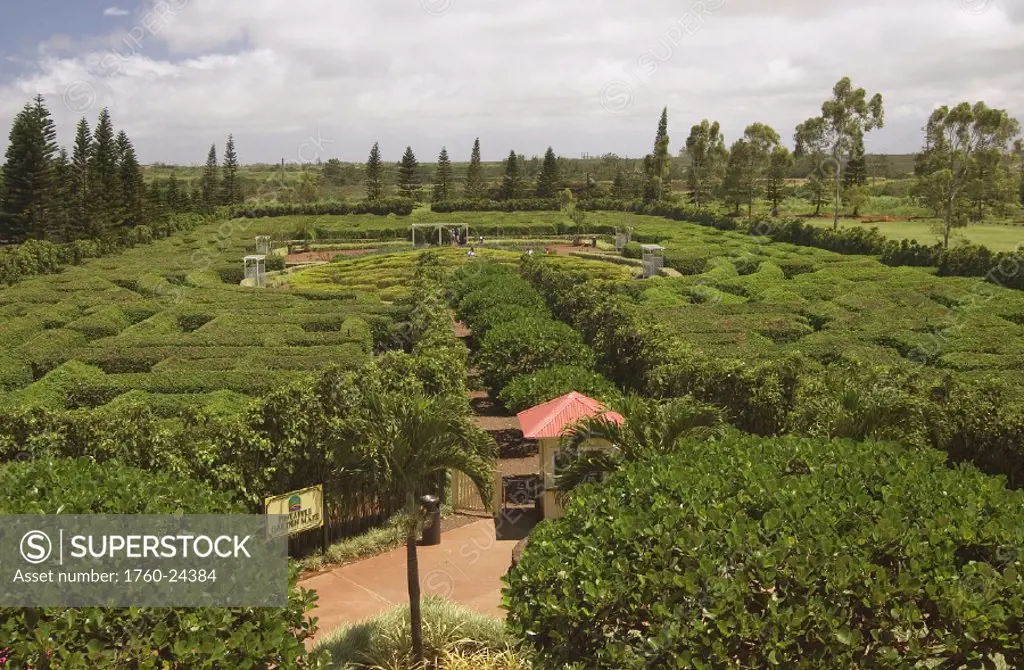 Hawaii, Oahu, Dole Pineapple Garden Maze, the world´s largest maze.