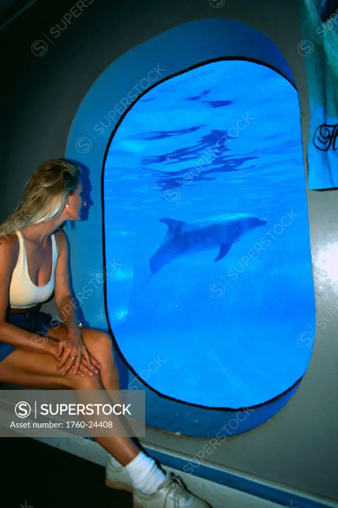 Oahu, woman views Bottlenose dolphin @ underwater viewing port in Sea Life Park